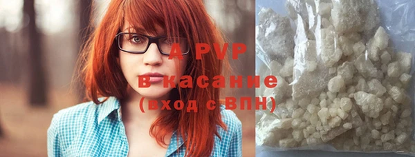стафф Богданович