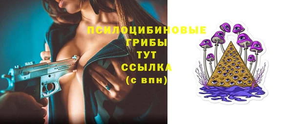 эйфоретик Белокуриха