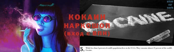 индика Няндома