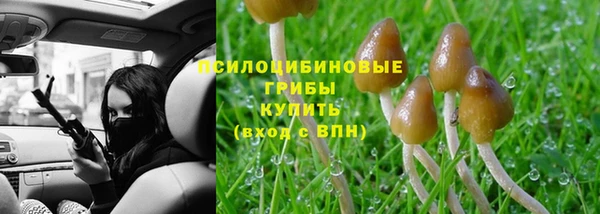 СК Богородицк