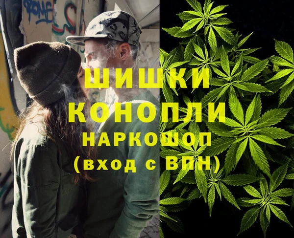 стафф Богородск
