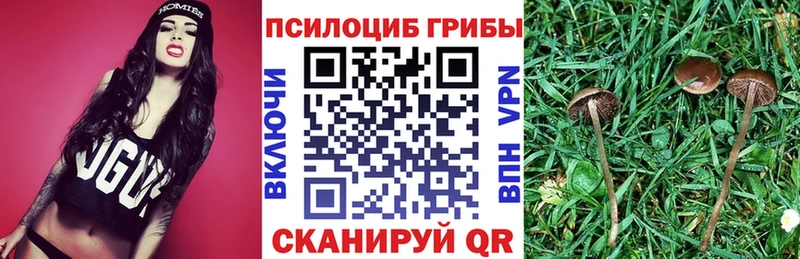 Псилоцибиновые грибы ЛСД Щигры